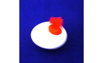 Egg, plastic w hole
