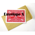 Envelope X  (100 st)