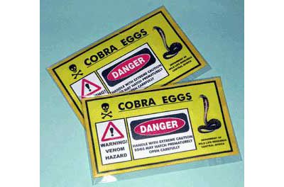 Cobra Eggs