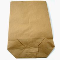 Paper Bag (20)